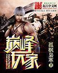 巅峰玩家 巅峰玩家